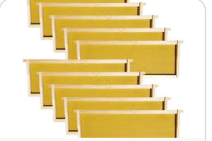 Assembled frames with foundation-10 pack