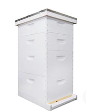 Load image into Gallery viewer, Traditional Growing Apiary Kit, Painted